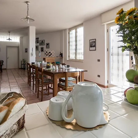B&B Belvedere