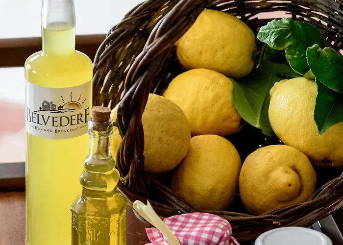 Bed and breakfast Belvedere 4*