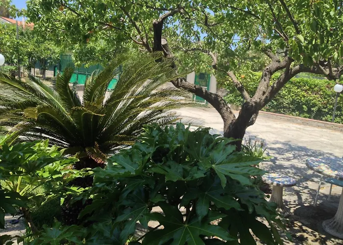 Belvedere Bed and breakfast