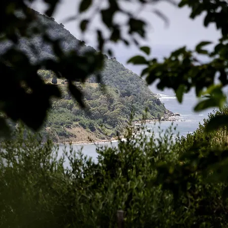 Couette-café Belvedere 4*