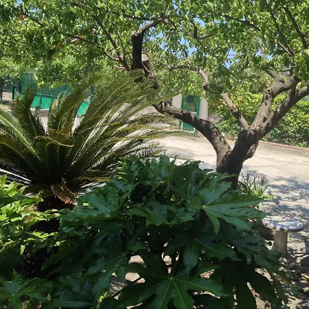 Belvedere Bed & Breakfast