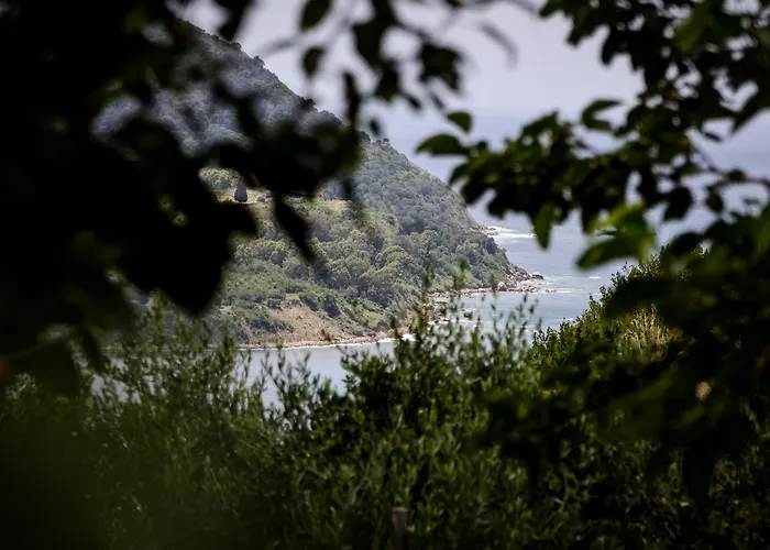 Alojamento de Acomodação e Pequeno-almoço Belvedere 4*